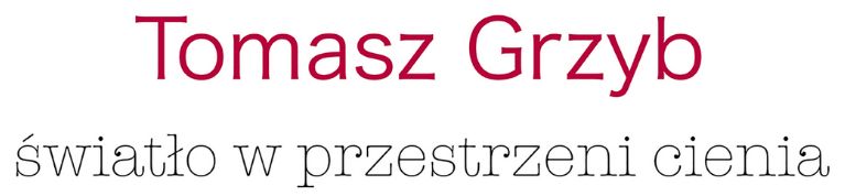 Tomasz Grzyb - wiato w przestrzeni cienia