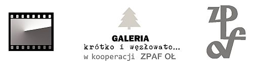 Galeria &bdquo;Kr�tko i�w�z�owato�&rdquo;